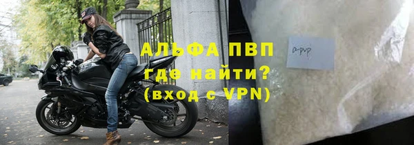 стафф Арсеньев