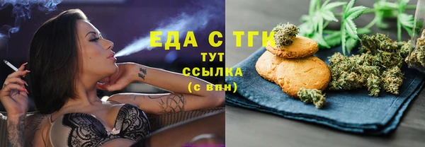 индика Аркадак