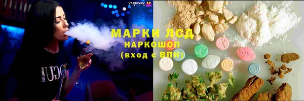 индика Аркадак