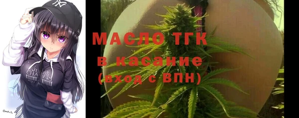 индика Аркадак