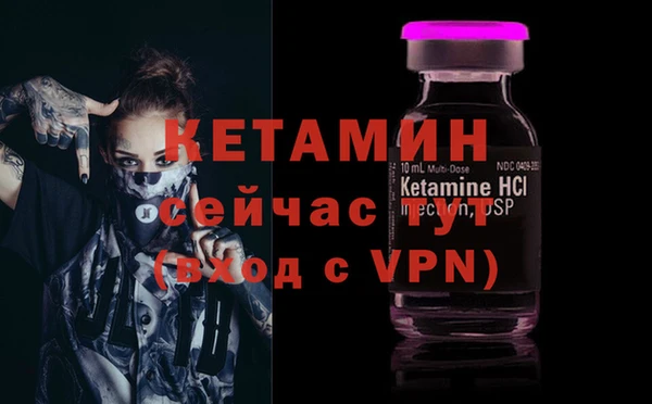 стафф Арсеньев