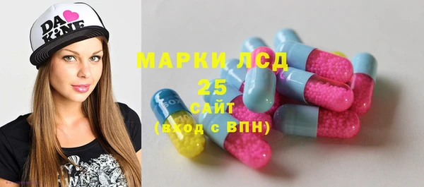 индика Аркадак