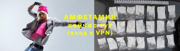 индика Аркадак