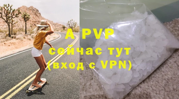 стафф Арсеньев