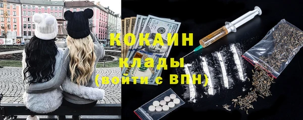 индика Аркадак