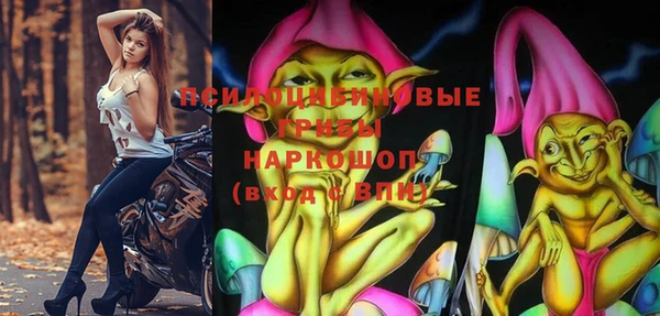 стафф Арсеньев