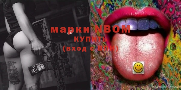индика Аркадак
