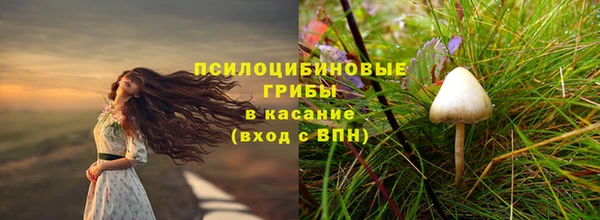 стафф Арсеньев