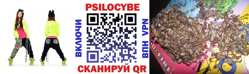 Псилоцибиновые грибы мицелий  цены наркотик  Рассказово 